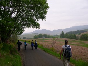 pilgrims